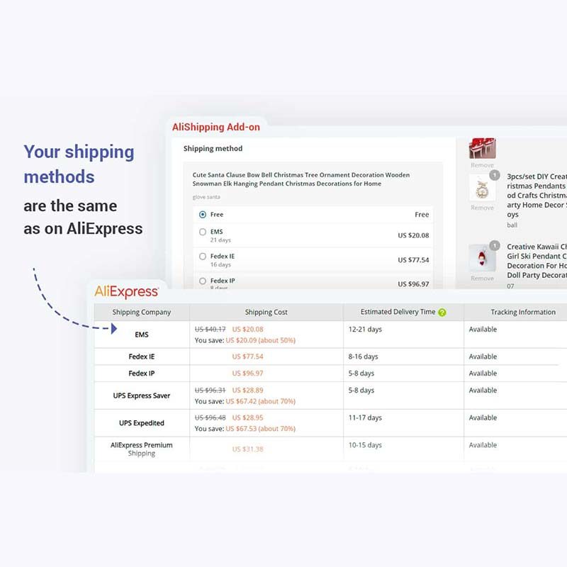 Dropshipping Store